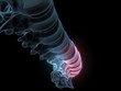 Lendenwirbel perspektive xray