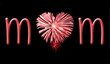 Mom fireworks