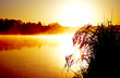 morning lake