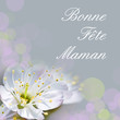 Carte fleurs de cerisier, bonne fête maman