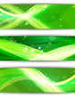 environmental concept fresh green banner set