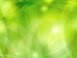 Green light abstract background Green light abstract background