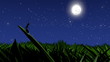 ant watch the shooting stars