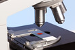 Microscope and blood sample