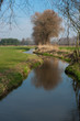 small brook
