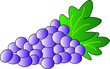 uva