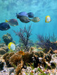 Seabed mirror Seabed mirror