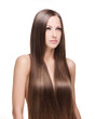 young woman with elegant long healthy shiny hair young woman with elegant long healthy shiny hair