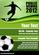 public viewing 2012