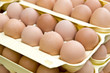 Brown Eggs