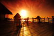 tropical cafe