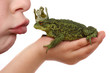 Froschkönig