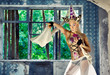 Image of queen