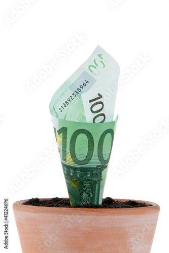 Foto: Euro-Geldschein in Blumentopf. Zinsen, Wachstum. Euro-Geldschein in Blumentopf. Zinsen, Wachstum.