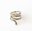 Photo: snake ring snake ring