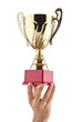 Hands with winners cup on white