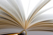 Bücher liegen aufgeschlagen auf weißem Hintergund