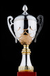 Prize cup against the background