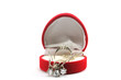 Mother's Day gift of jewel