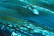 Foamy car wash Foamy car wash