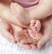 motherhood tenderness responsibility