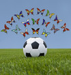 Soccer