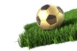 Fussball Gold auf Gras