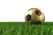 Fussball Gold auf Gras Fussball Gold auf Gras