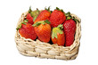 basket