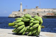 Delicious tropical green bananas Delicious tropical green bananas