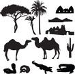 silhouettes of African desert
