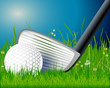 Golf club and ball in grass