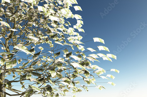 Photo: 100 euro bills instead of the leaves 100 euro bills instead of the leaves