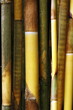 Foto: Bamboo Bamboo