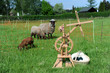 Spinnrad, Wolle, Schaf