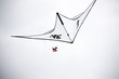 Translucide_2