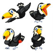 Toucan bird series