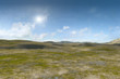 landscape without vegetation