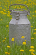 Milchkanne in Blumenwiese