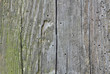 old boards background