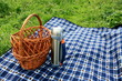 Basket, thermos and picnic blanket