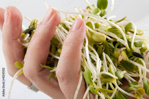 Photo: Fresh alfalfa sprouts isolated on white background Fresh alfalfa sprouts isolated on white background