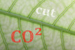 cut co2