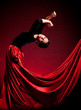Flamenco Carmen beautiful woman in dress Flamenco Carmen beautiful woman in dress