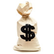 Money Bag