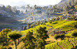 Sri Lanka landscapes