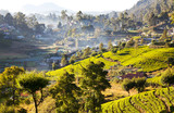Sri Lanka landscapes