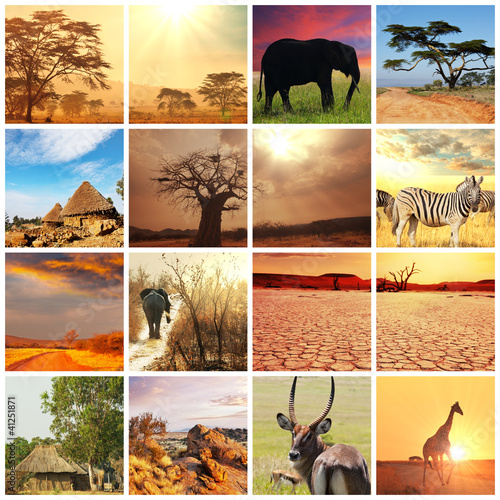 Photo: Safari Safari