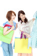 Beautiful shopping women. Portrait of asian women.