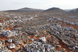 Karst field on Socotra Island